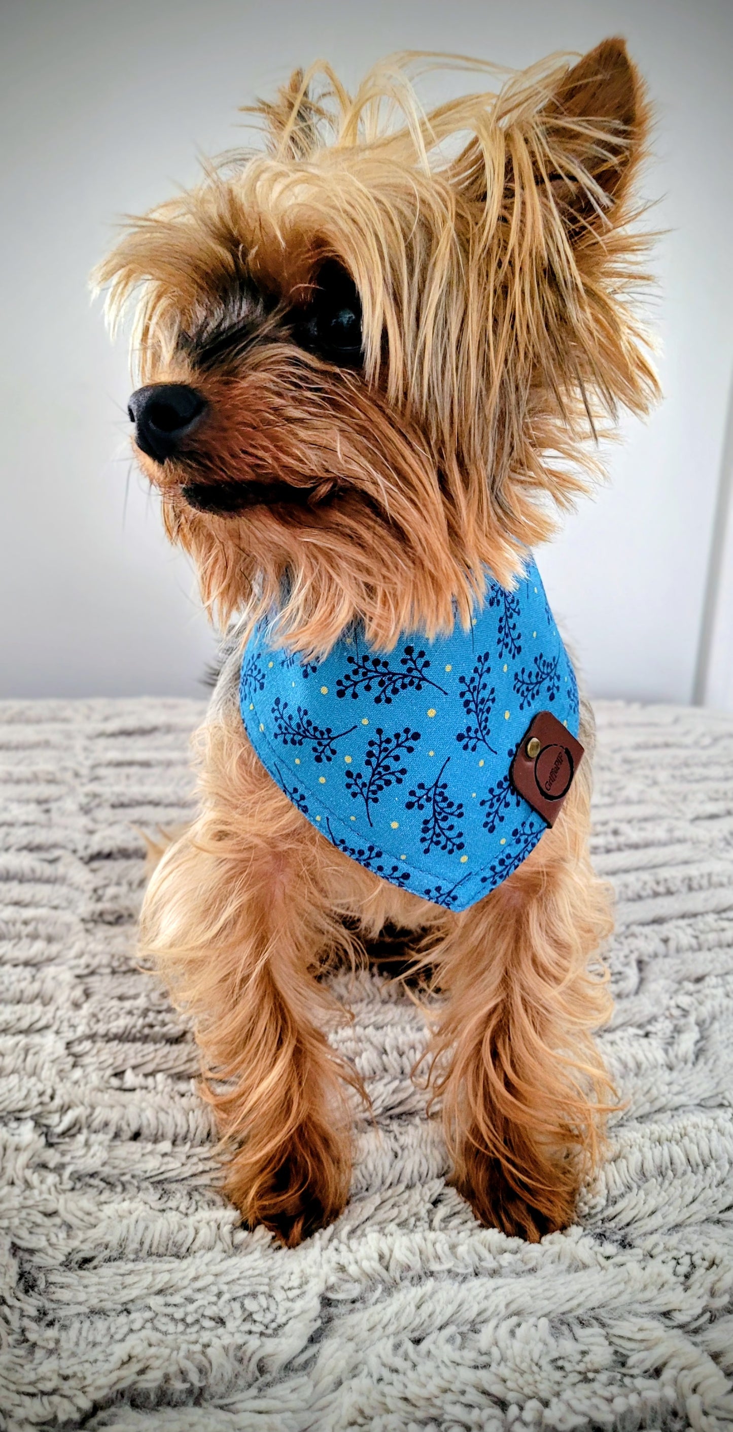 Bandana